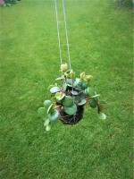 /album/aktualne-k-prodeji/img-20190528-105854-resized-20190529-021856097-2-jpg/